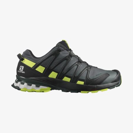 Salomon XA PRO 3D v8 GORE-TEX Mens Hiking Shoes Black | Salomon South Africa